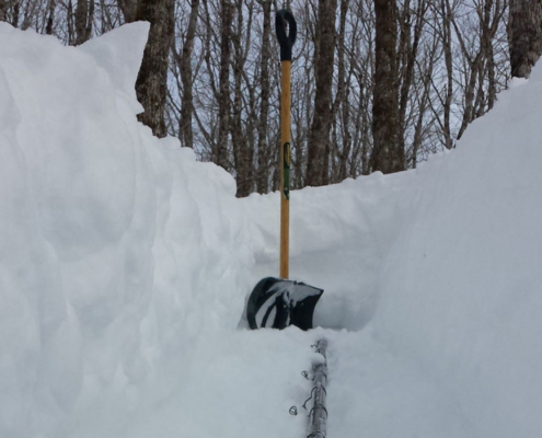 Digging Out Maple Sap Lines