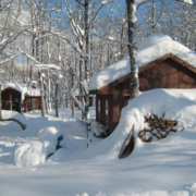 Snowed In at MacRae's Rocky Ridge Maple
